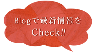 Blogで最新情報をCheck!!